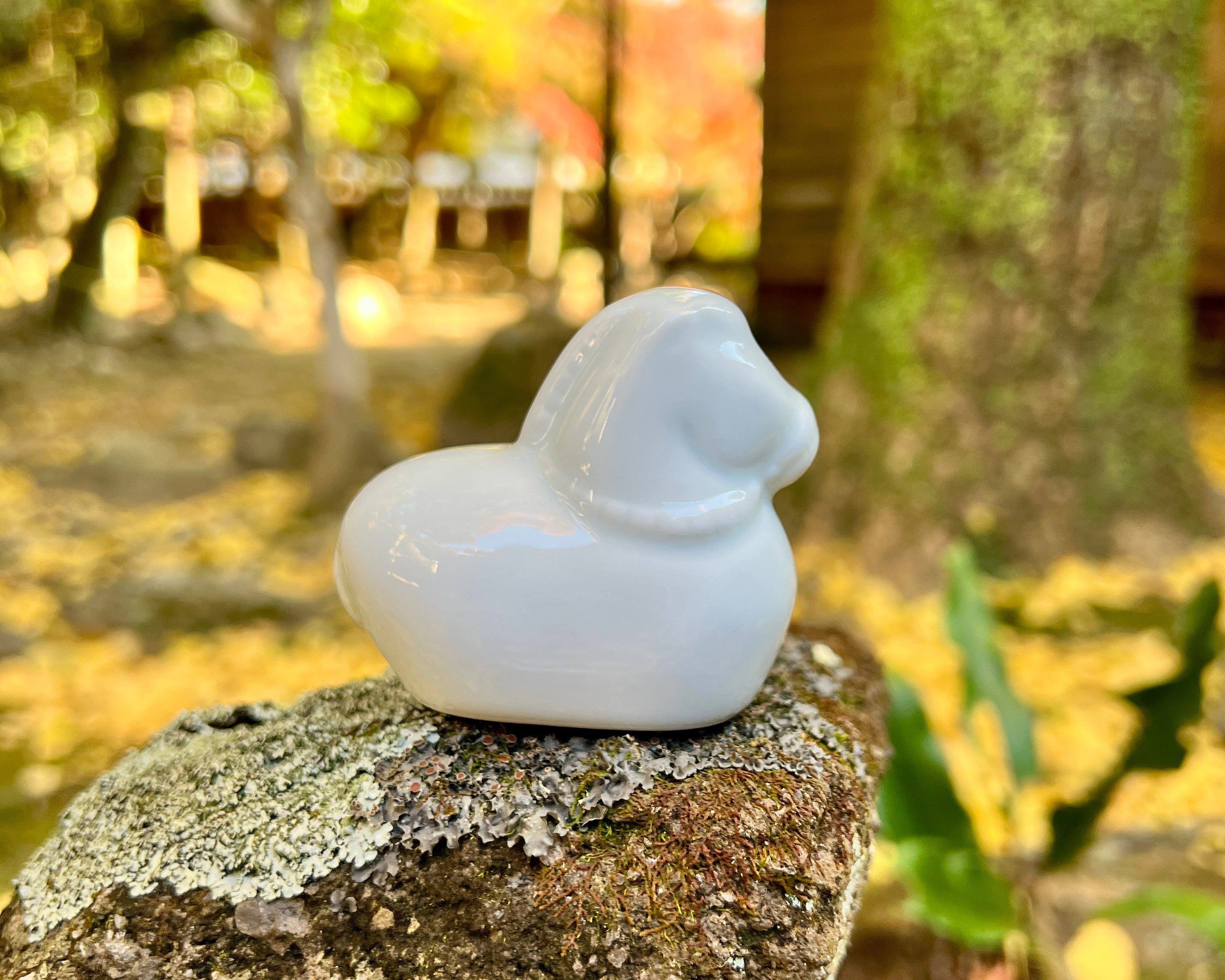 干支 "午”　（小）2026